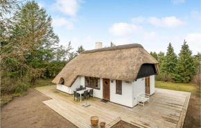 3 Bedroom Beautiful Home In Ringkøbing